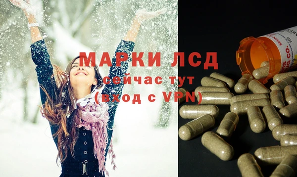 гашик Магас