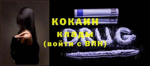 гашик Магас