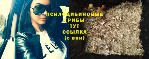 твердый Магадан